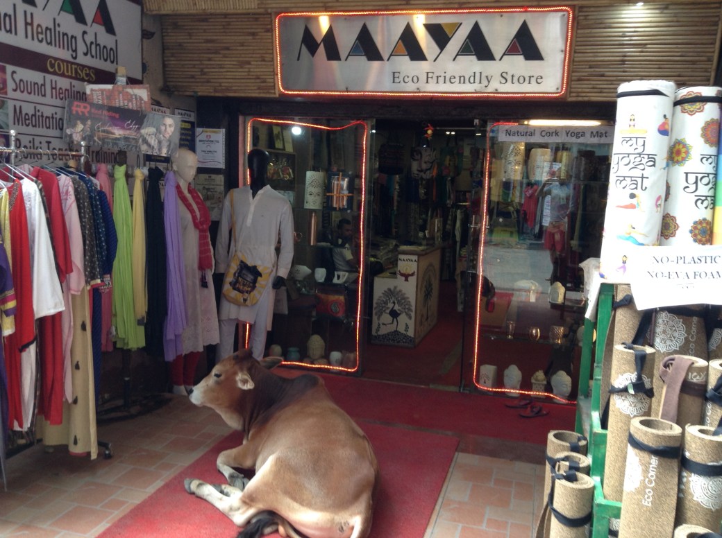 4681EAA2-DEEB-44DA-8BD4-DF06E29EA22D